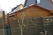 P2010975.webp