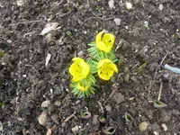 P1110403.webp