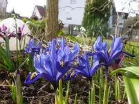 P1110423.webp