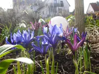 P1110424.webp