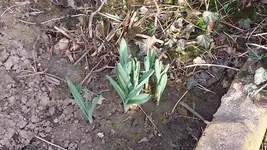 20140301_150420.webp