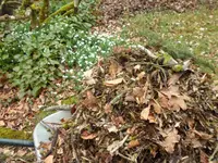 SAM_3059.webp