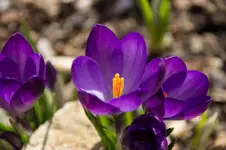 Stg 14-03-01-1077.webp