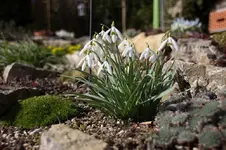 Stg 14-03-01-1075.webp