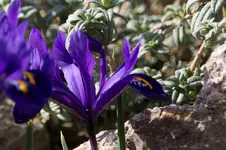 Stg 14-03-01-1072.webp