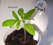 DSC_8327 Normal 1 nah.webp