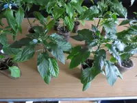 K1600_IMG_0147.webp