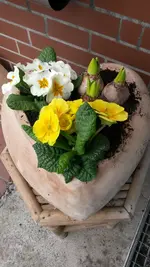 2014-03-01 14.05.17.webp