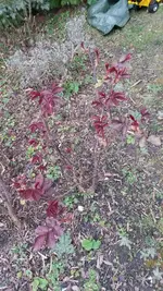 2014-03-01 14.04.42.webp