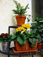 IMG_5194.webp