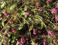 DSC04269 - 2014-03-02 - winterheide.webp