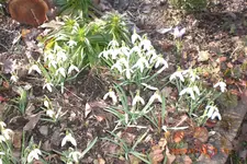 Garten 03 2014 015.webp