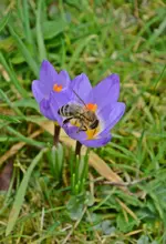 DSC_0540.webp