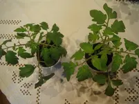 DSCF7614.webp