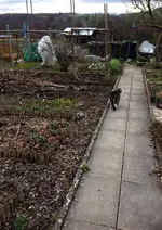 Garten1.webp
