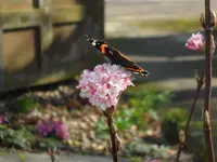 SAM_3074.webp