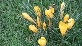 Bilda 0449.webp