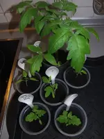 2014-03-02 Gruppenbild KTW.webp