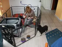 Wurmkur1Kopie.webp