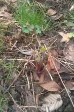 IMG-20140301-WA0008.webp