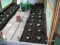 PICT0166.webp