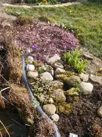 Teich1 3.3.2014.webp