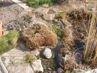 Teich2 3.3.2014.webp