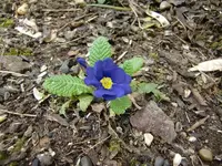 CIMG5697.webp