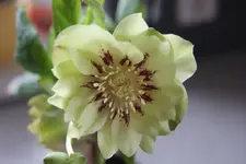 DSC08169.webp
