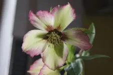 DSC08176.webp