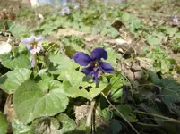 CIMG5797.webp