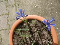CIMG5716.webp