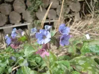 CIMG5553.webp