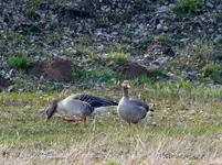 P1010057.webp