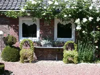 08 luise-ac.webp