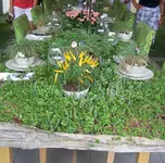 22 muecke 1401.webp