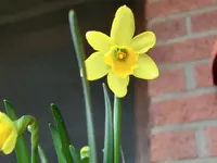 CIMG6842.webp