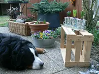 Frühling1.webp
