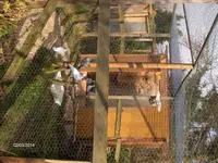 HPIM0239.webp