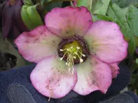 001_1024x768.webp