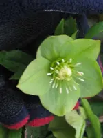 002_576x768.webp