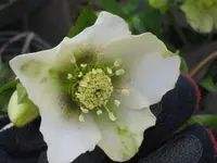 005_1024x768.webp