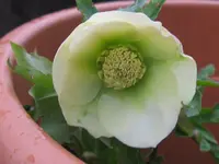 006_1024x768.webp