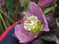 007_1024x768.webp