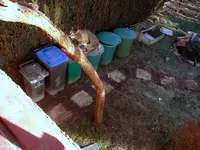 DSCF9187.webp