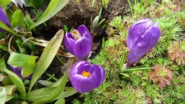 K800_forum 001.webp