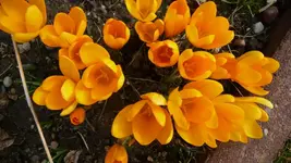 K800_forum 005.webp