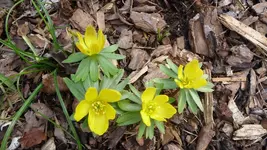 K800_forum 010.webp