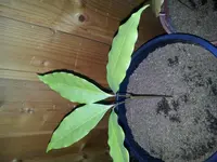 20140304_173601.webp