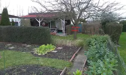 IMAG0223.webp